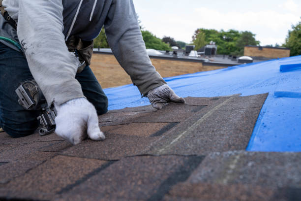 Best Metal Roofing Contractor  in Vallejo, CA