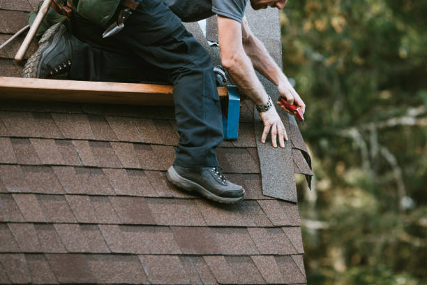 Professional Roofing Contractor in Vallejo, CA